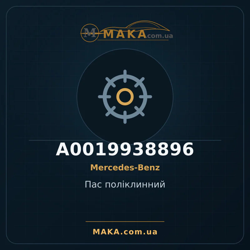 Пас поліклинний A0019938896