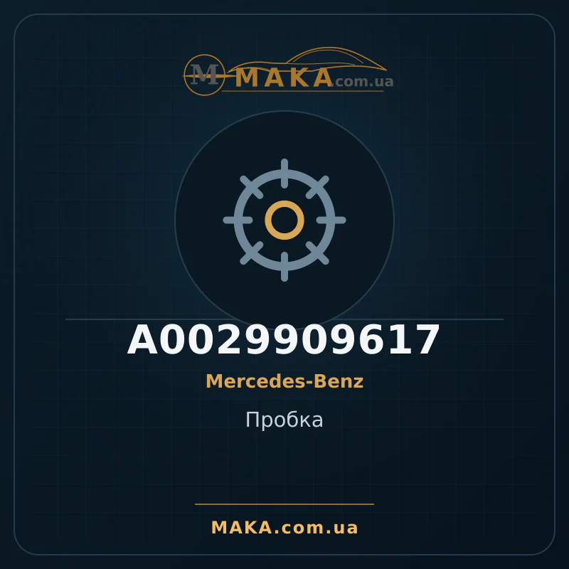 Пробка A0029909617