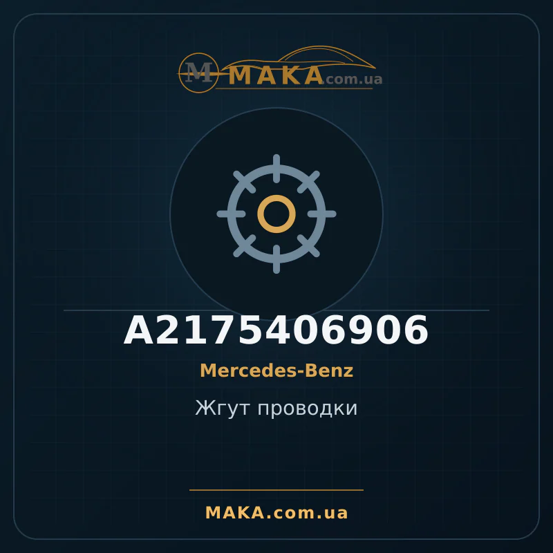 Джгут проводки A2175406906