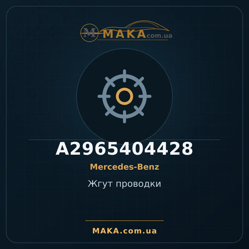 Джгут проводки A2965404428