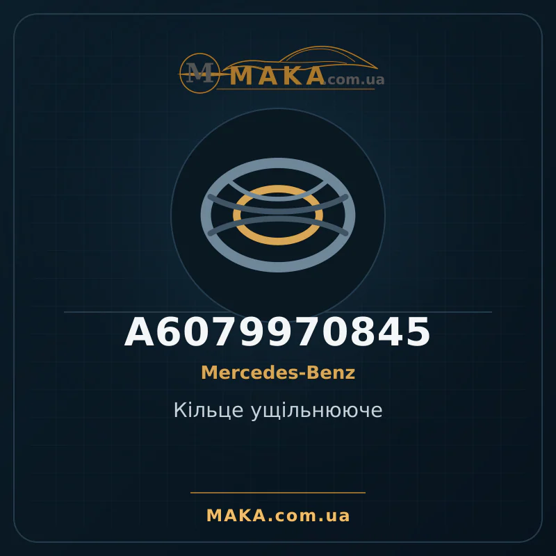 Кільце ущільнююче A6079970845