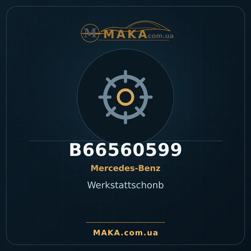 Werkstattschonb B66560599
